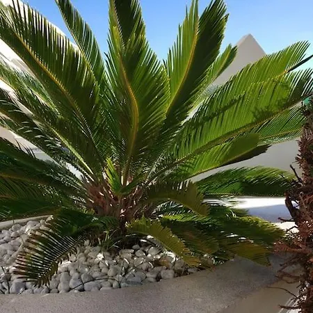 Heliopolis Ab Rez De Jardin Chez Palo 아그